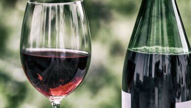 Calici di vino in musica tra le valli della Valpolicella
