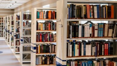 Reti Bibliotecarie Venete in Rete