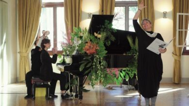 Immagine di uno spettacolo del Festival LibrOrchestra (Foto tratta dal sito atelierelisabettagarilli.it)