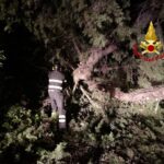 Interventi dei Vigili del Fuoco a seguito del maltempo di lunedì 16 agosto 2021