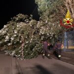Interventi dei Vigili del Fuoco a seguito del maltempo di lunedì 16 agosto 2021