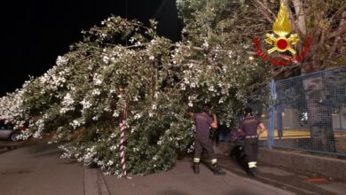Interventi dei Vigili del Fuoco a seguito del maltempo di lunedì 16 agosto 2021