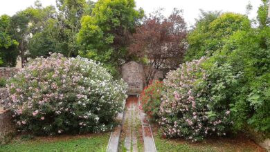 Uno scorcio dei giardini di Veronetta