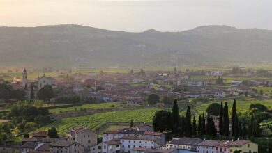 Uno scorcio della Val d'Illasi