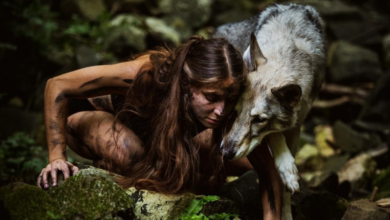 On the nature of wolves