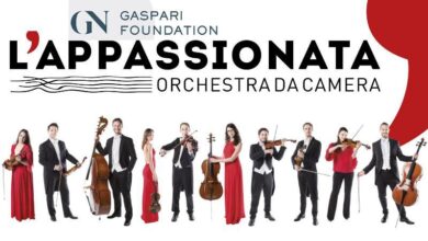 L'appassionata orchestra da camera