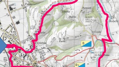 Escursione guidata sulle colline di Verona