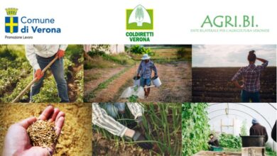Lavoro in agricoltura