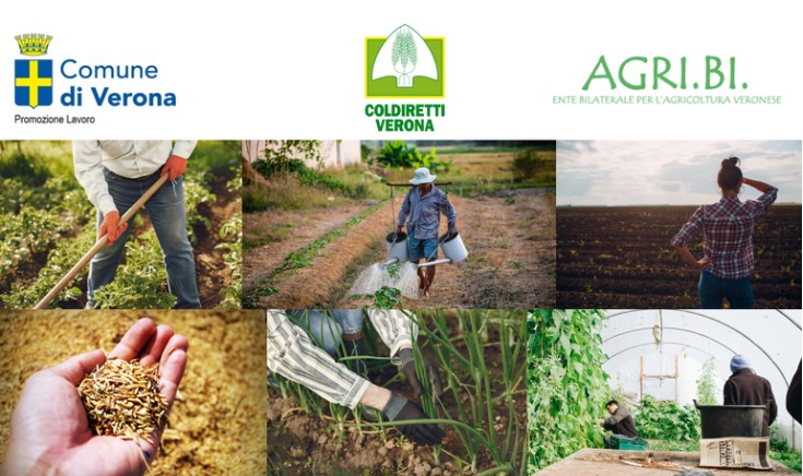 Lavoro in agricoltura