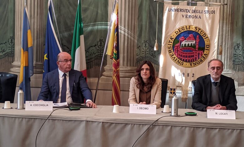 Relatori HEMERA