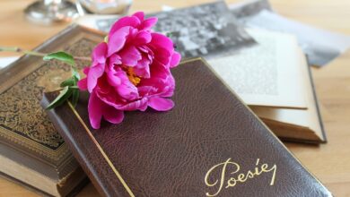 Un libro di poesie