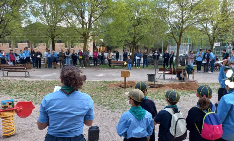 Cerimonia Albero Scout