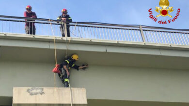I Vigili del Fuoco in azione per liberare l'animale