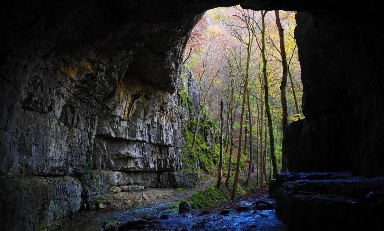 Ingresso di una grotta