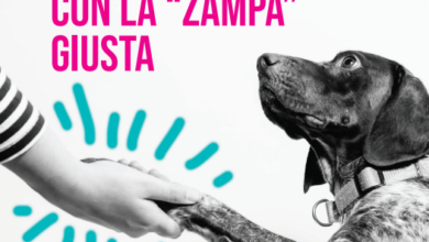 Parti con la zampa giusta