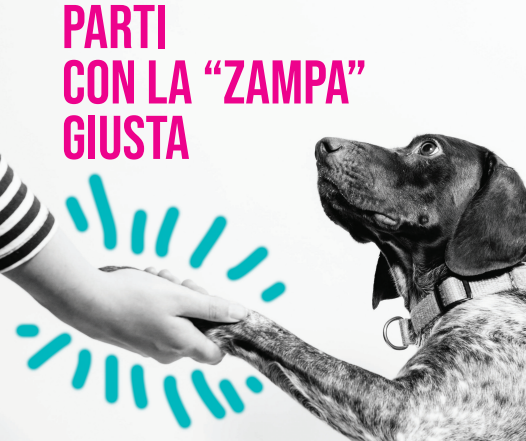 Parti con la zampa giusta