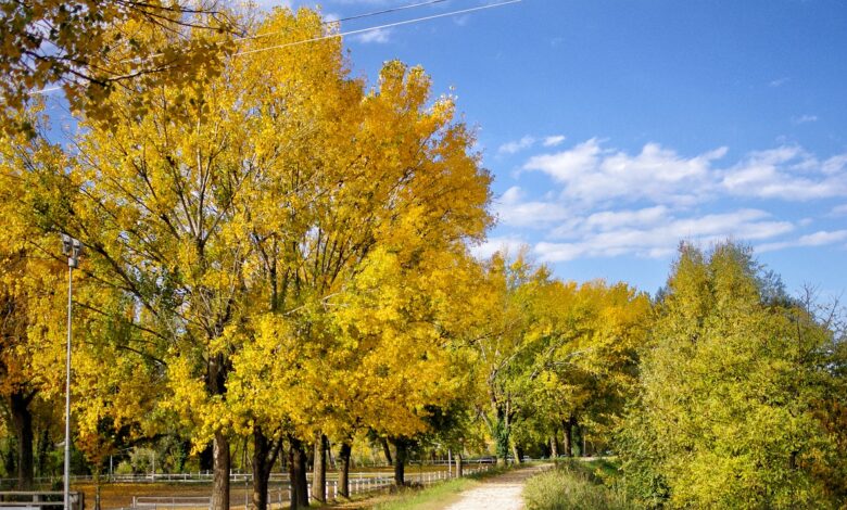Parco dell'Adige di Verona